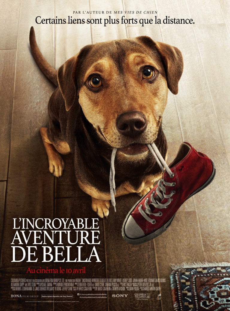 L Incroyable Aventure De Bella Bande Annonce Vf L'Incroyable aventure de Bella bande-annonce [VF] - Slidemovies