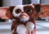 Gremlins 3 officiellement annoncé !