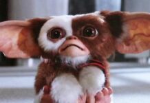 Gremlins 3 officiellement annoncé !