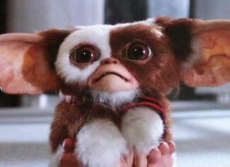 Gremlins 3 officiellement annoncé !