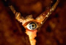 Retour à Silent Hill – Une adaptation assez fidèle mais plutôt brouillon