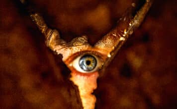 Retour à Silent Hill – Une adaptation assez fidèle mais plutôt brouillon