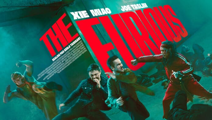 TheFurious_couv